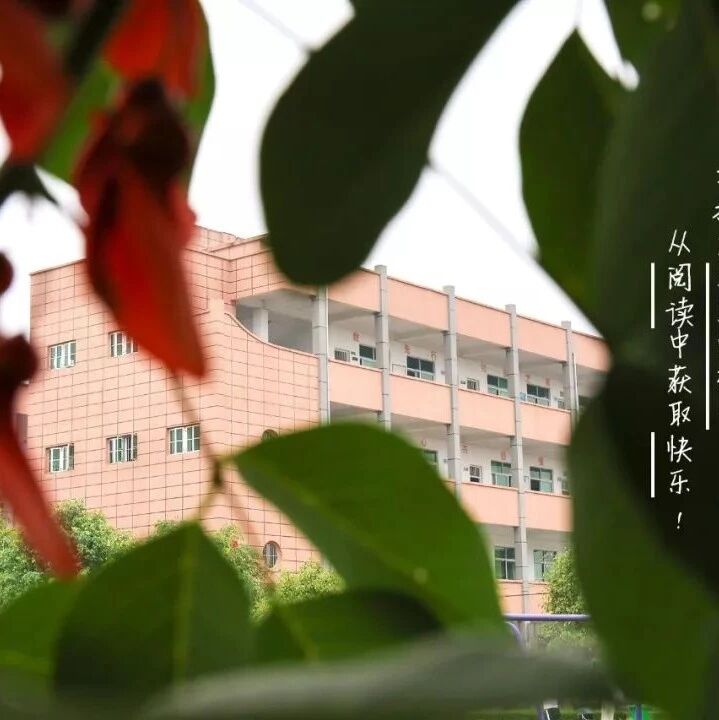 揭西助学公益行：绿叶掩映中的乡村学校教学楼
